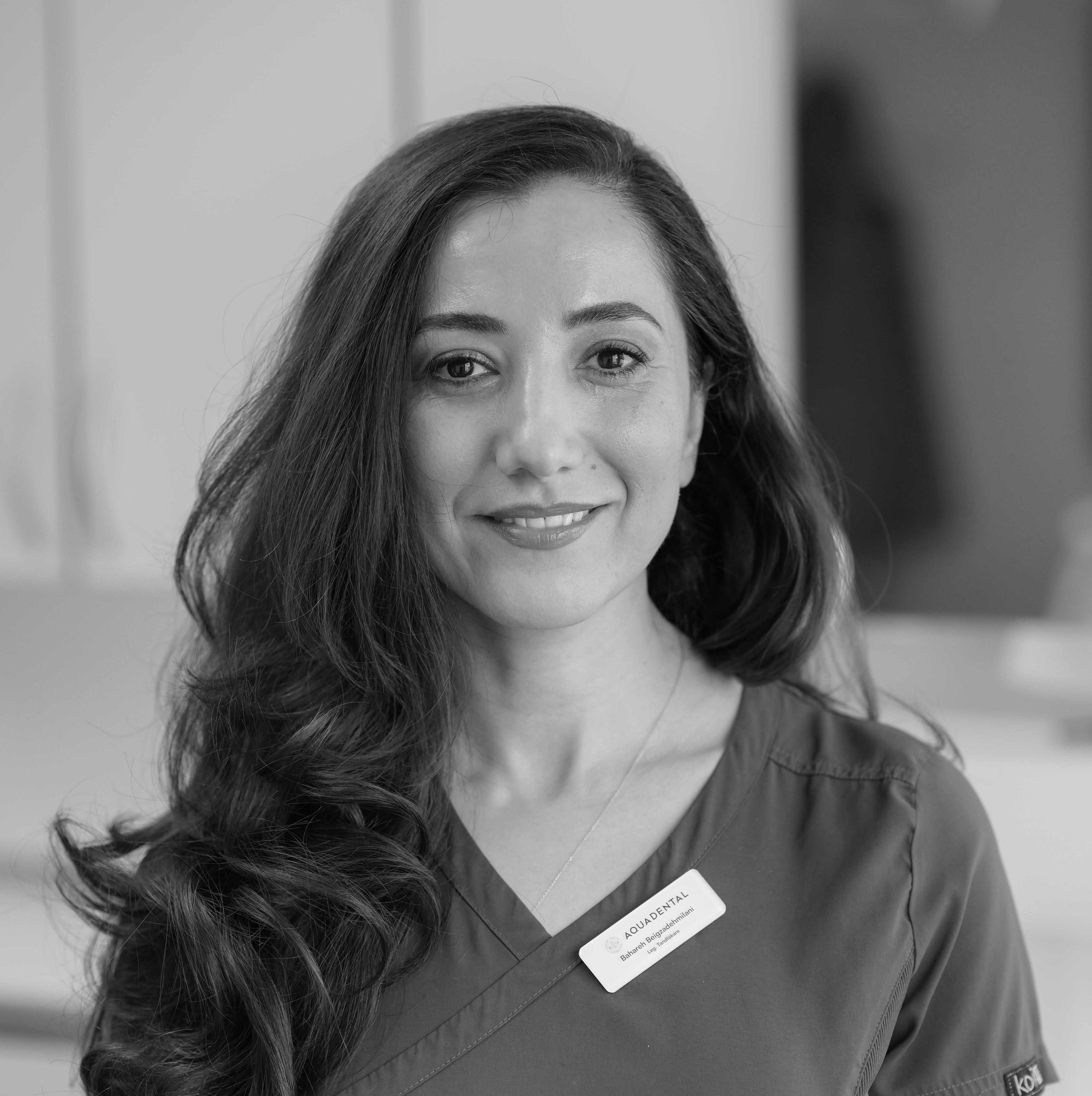 Bahareh Beigzadehmilani